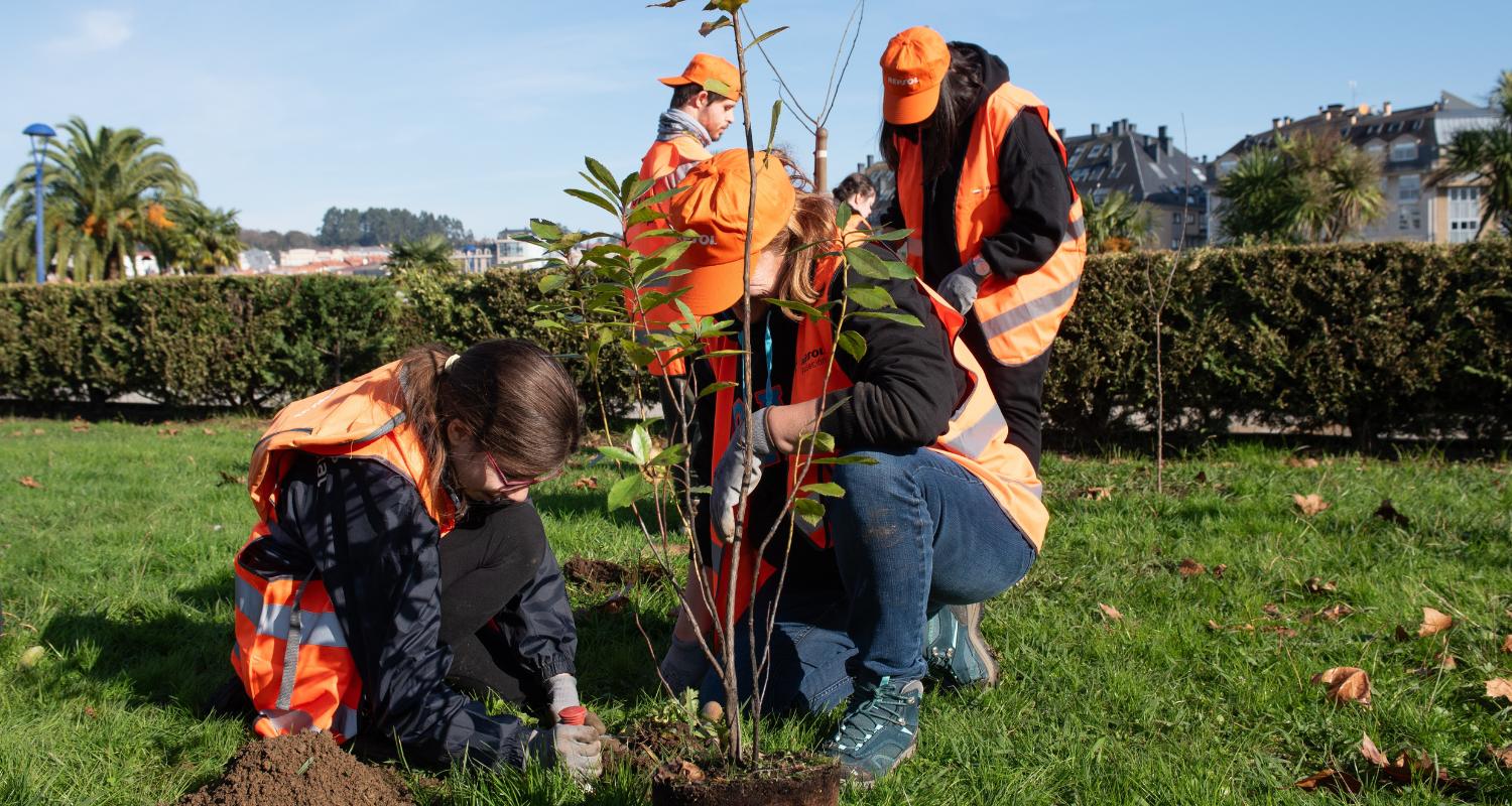 Un grupo de voluntarios plantando árboles.